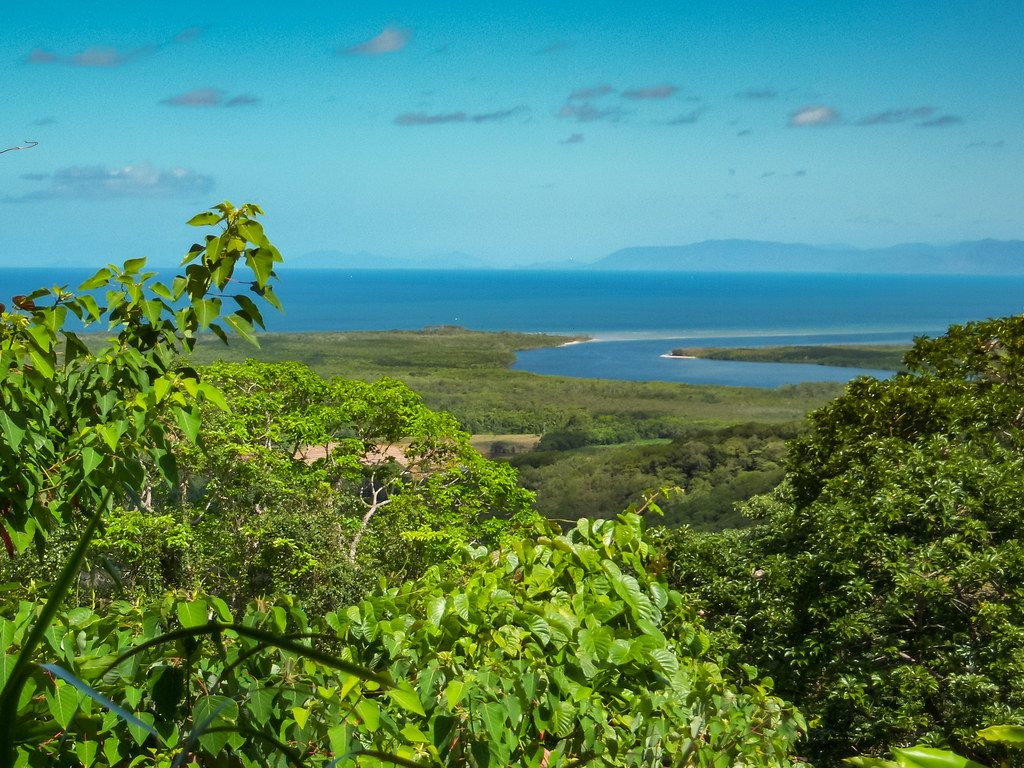 Daintree National Park, Australia