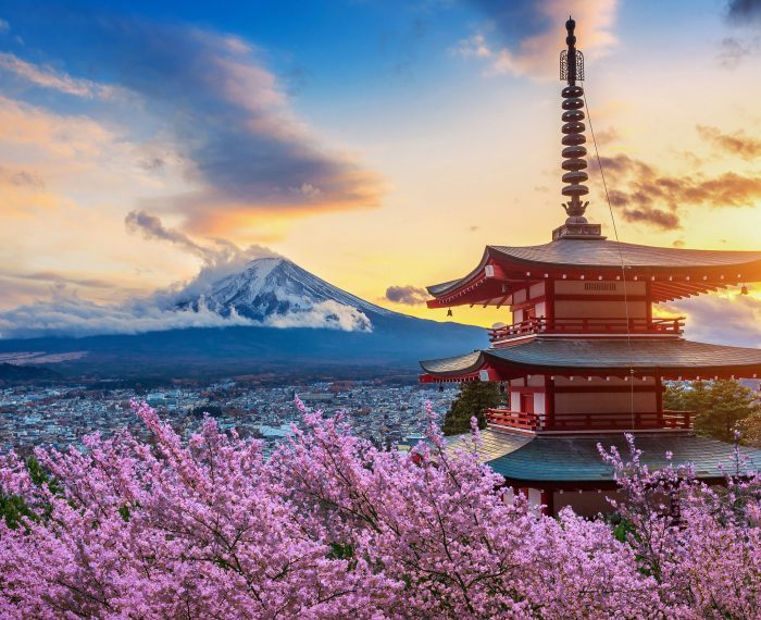 Beautiful landmark of Fuji mountain and Chureito Pagoda with cherry blossoms at sunset, Japan. Spring in Japan.