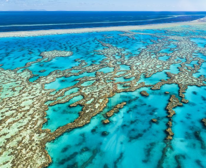 Great Barrier Reef.. Australia