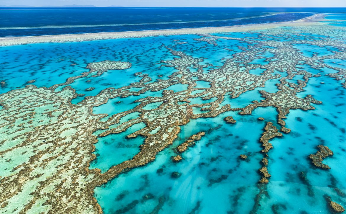 Great Barrier Reef.. Australia