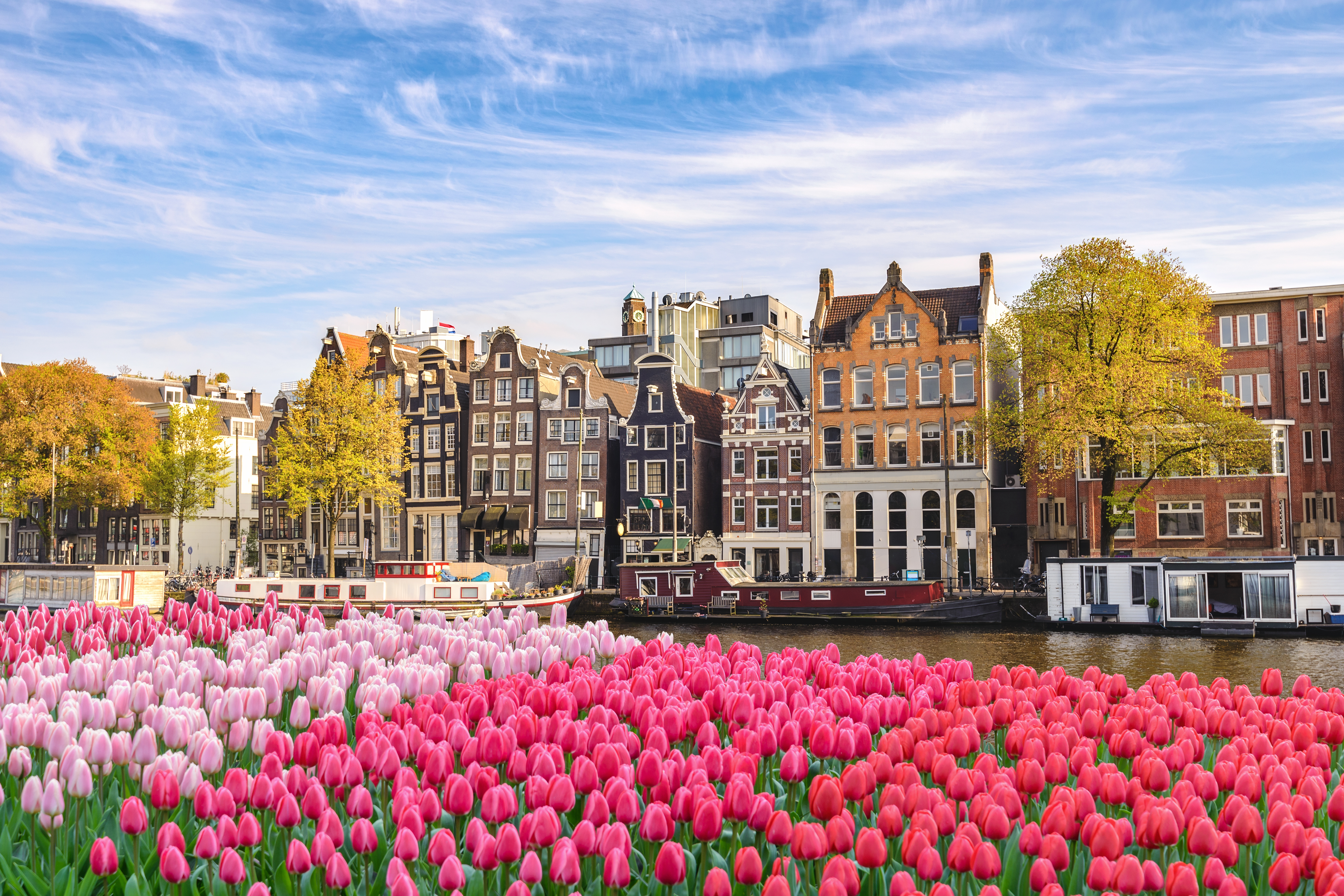 Amsterdam Backpage