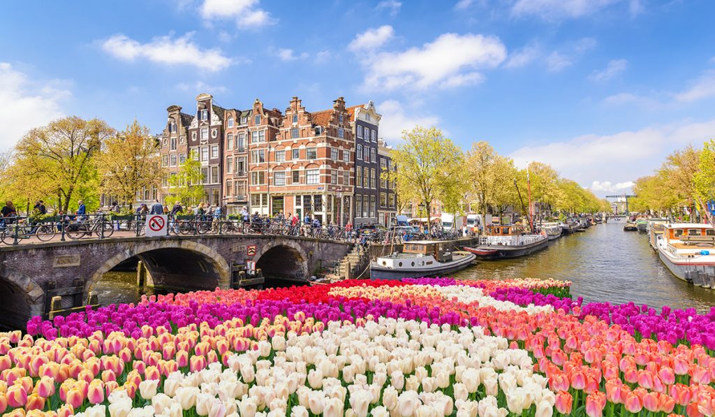 Tulipani di Amsterdam, simbolo storico della città