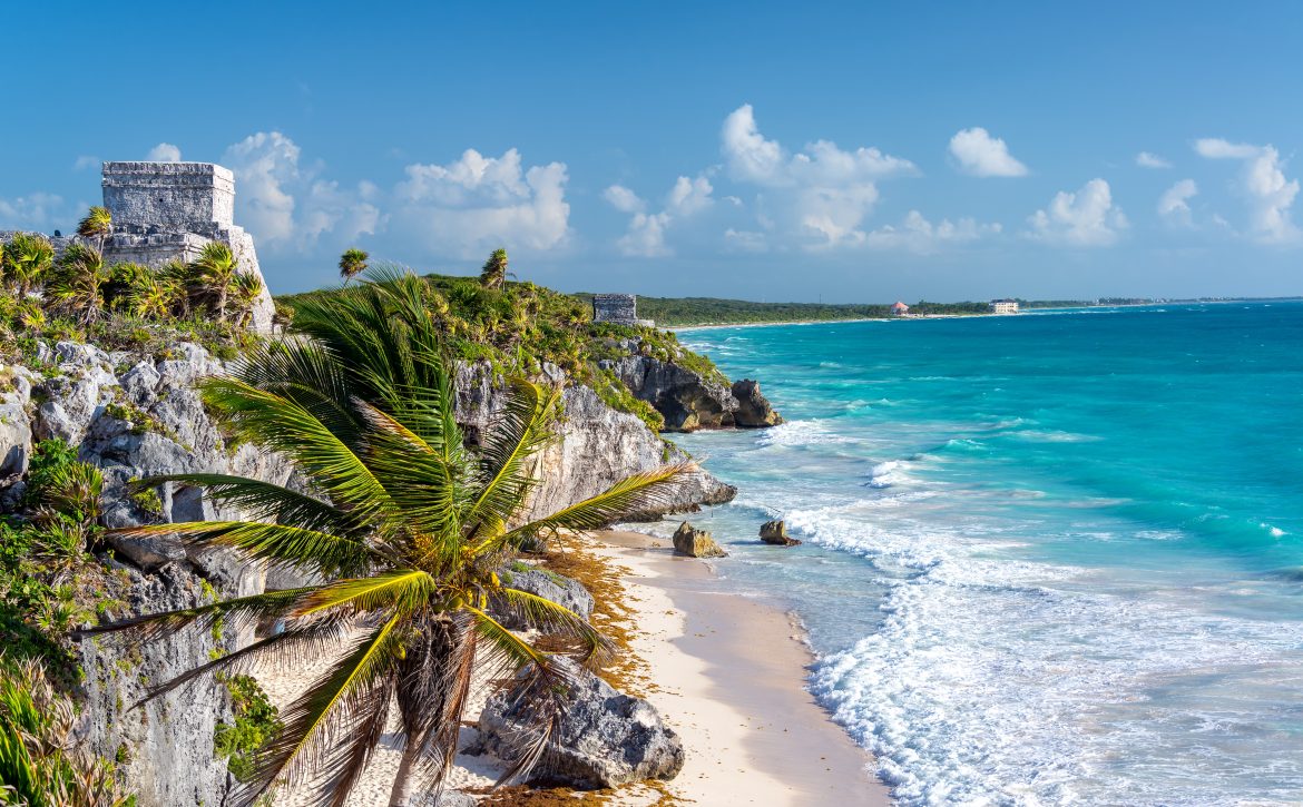 Tulum Ruins and Palm Tree