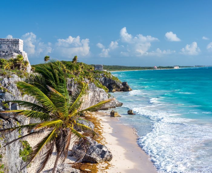 Tulum Ruins and Palm Tree